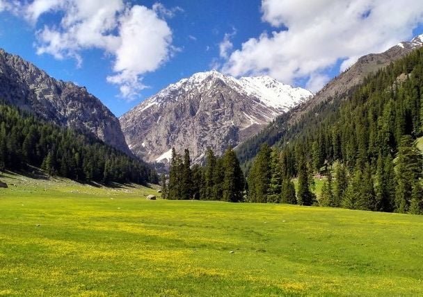 Best Time to Visit Swat