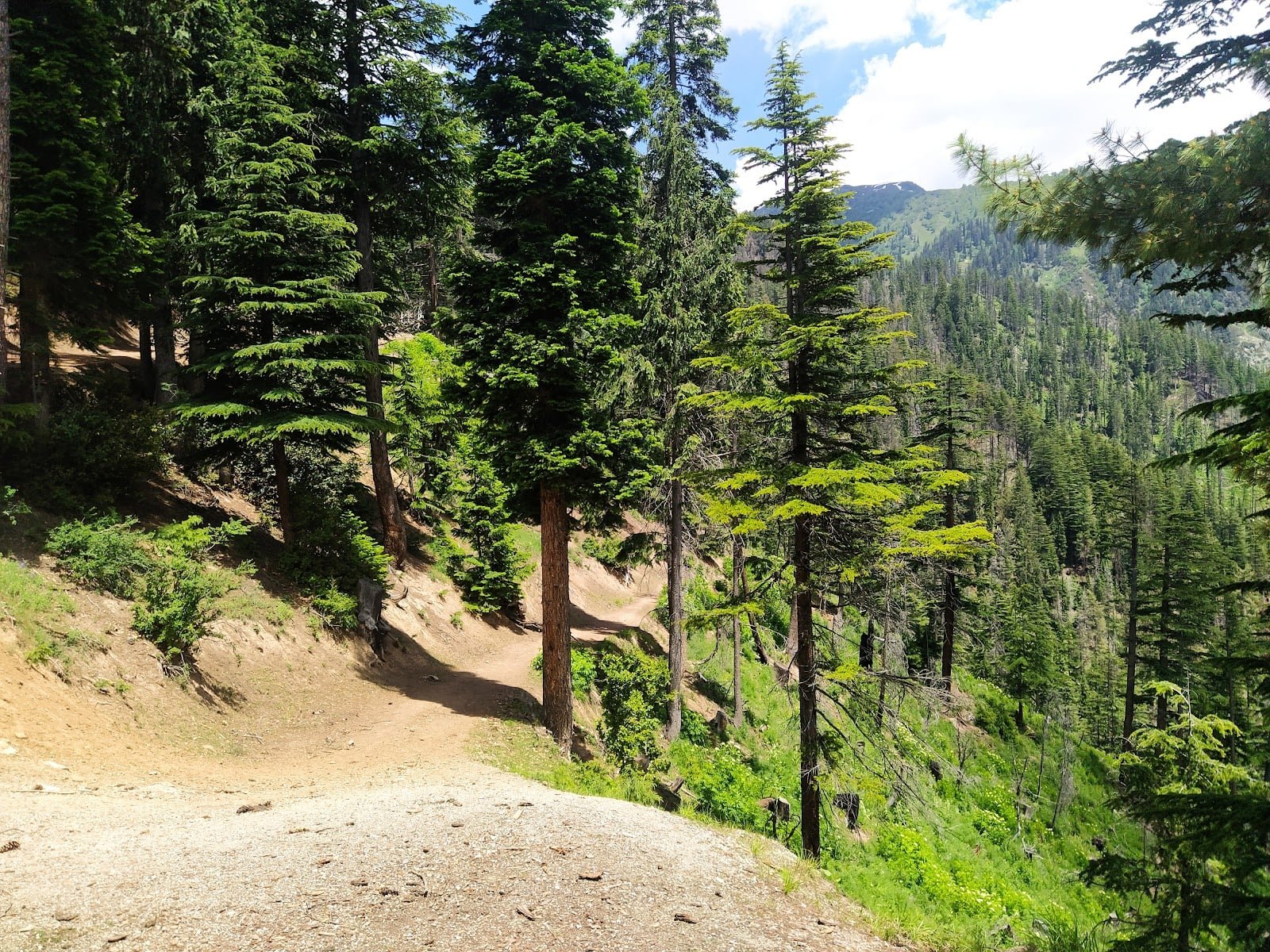 Janshae Meadows 2