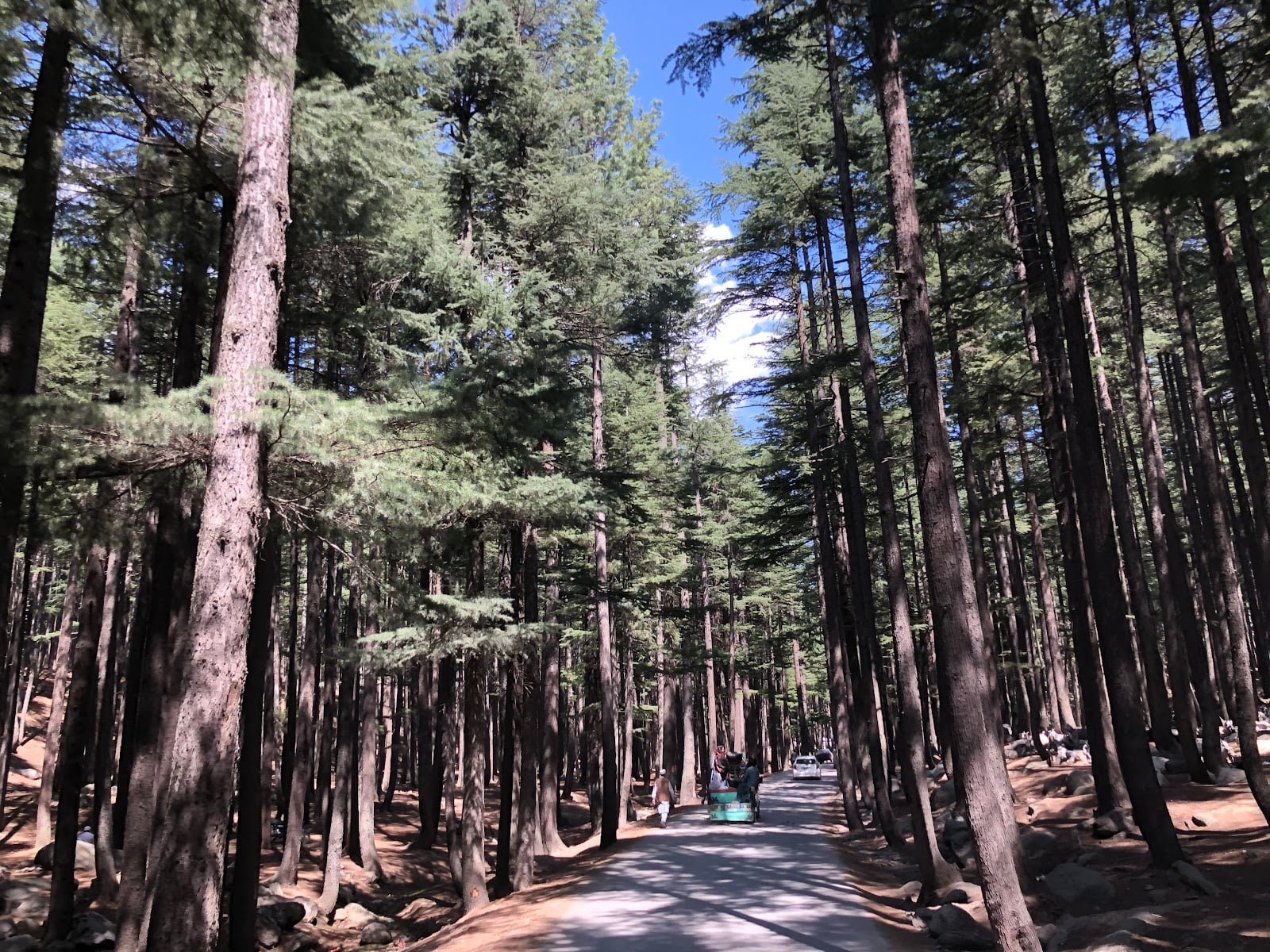Budget Travel Guide: 5 Days in Swat Under PKR 25,000 (Backpacker Plan)