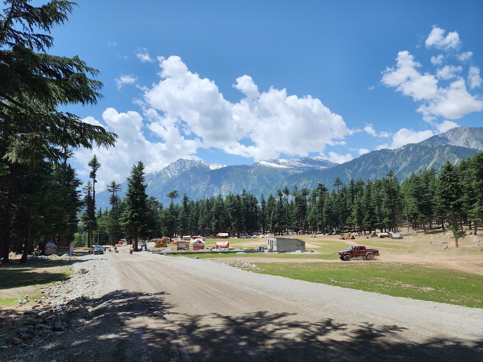 Best Spring Flower Meadows in Swat (April to June Bloom Guide)