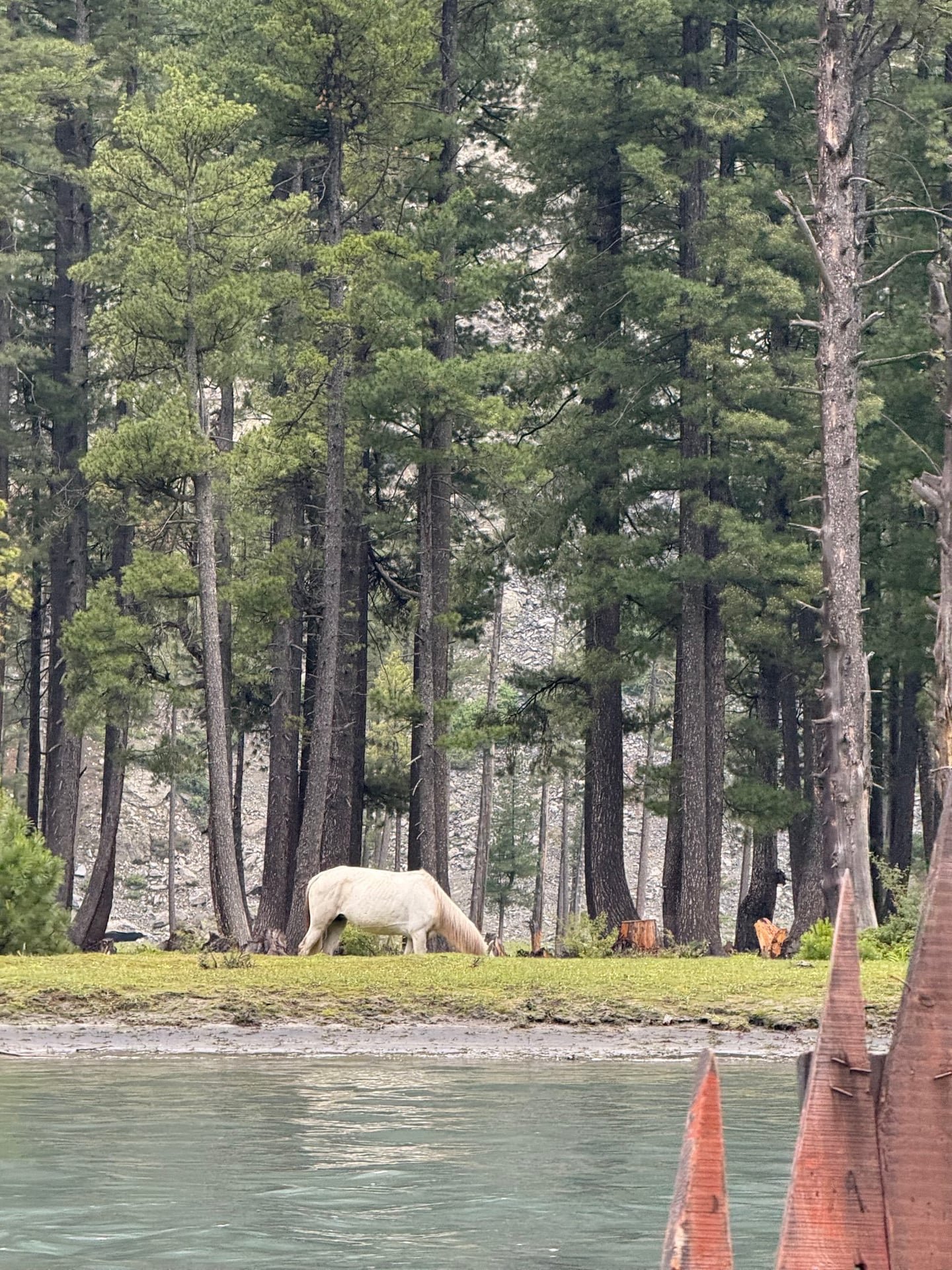 Camping Sites in Mahodand Lake: Where to Pitch, Gear and 2026 Costs
