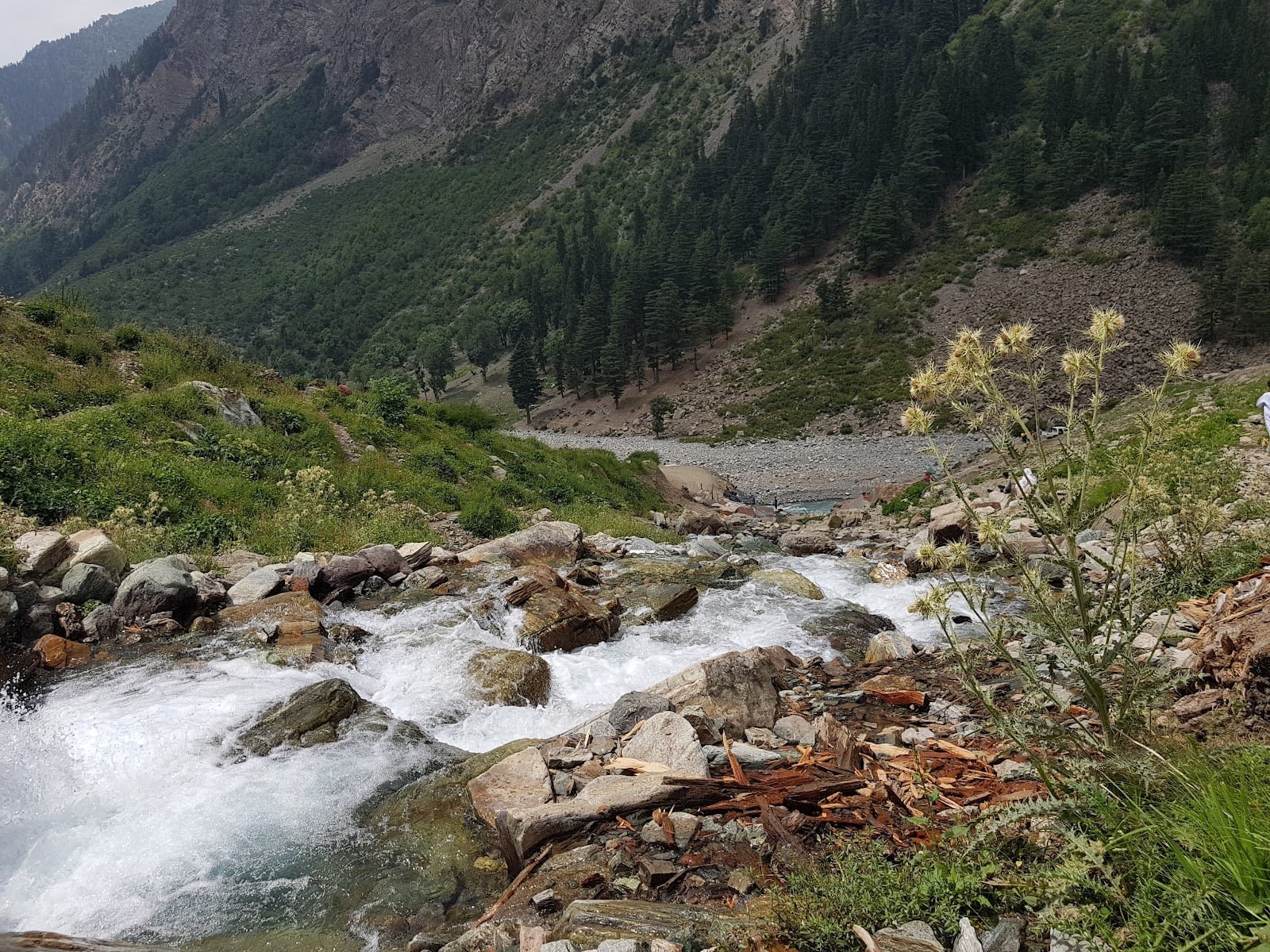 Best Quiet Places to Stay in Swat: Low-Noise Bases for Relaxed Trips