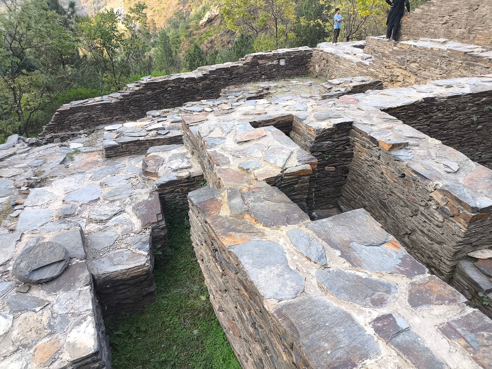 Pashto Phrases Tourists Should Learn for a Swat Trip (Quick Guide)