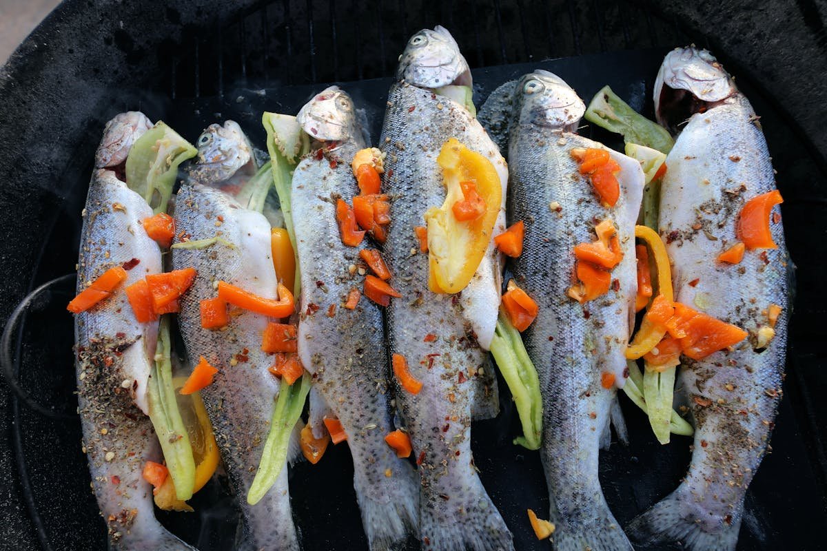 Swat Trout