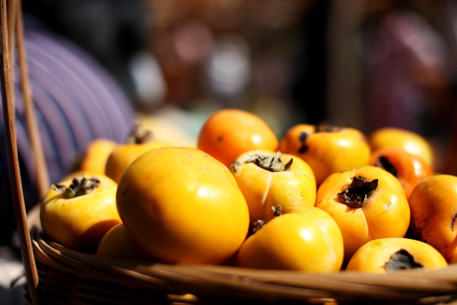 Swat Persimmons