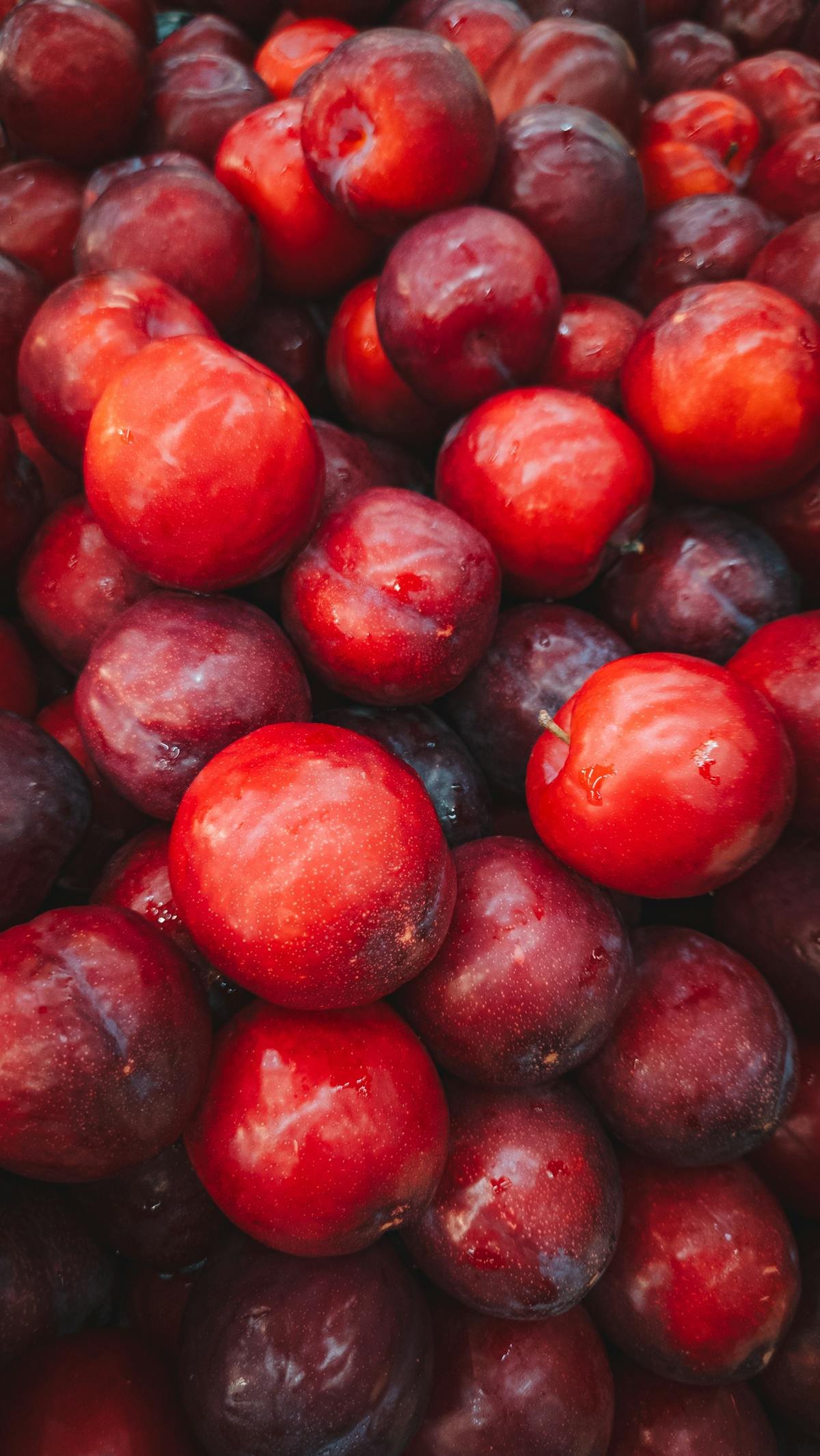 Swat Plums