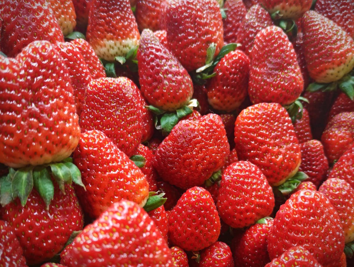 Swat Strawberries